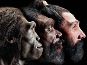 Homo sapiens-Шкільне життя