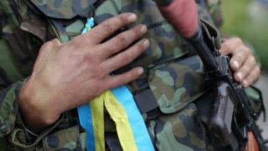 День українського добровольця- Історія в школі