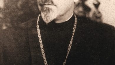 Степан Іванович Скрипник (Мстислав)-Історія в школі