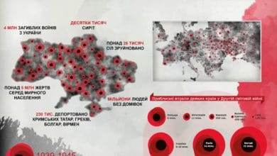 День пам'яті та примирення-Історія в школі