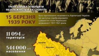 Карпатська Україна-Історія в школі