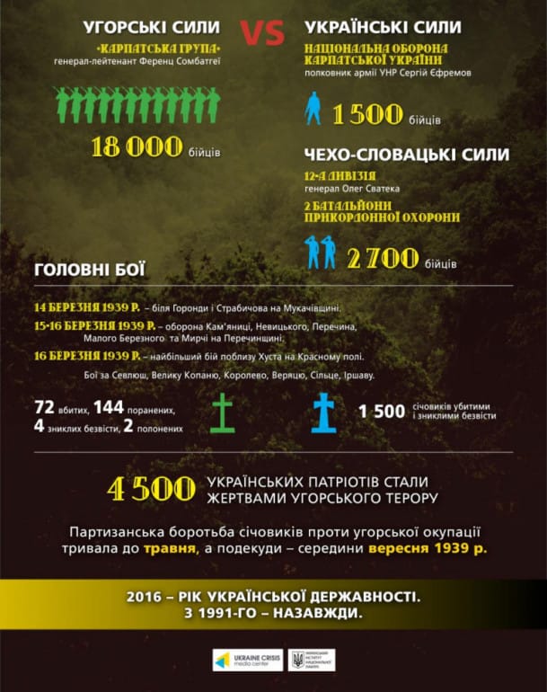 Карпатська Україна (бортьба2)-Історія в школі