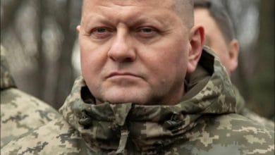 Головнокомандувач ЗС України генерал Валерій Залужний-Історія в школі