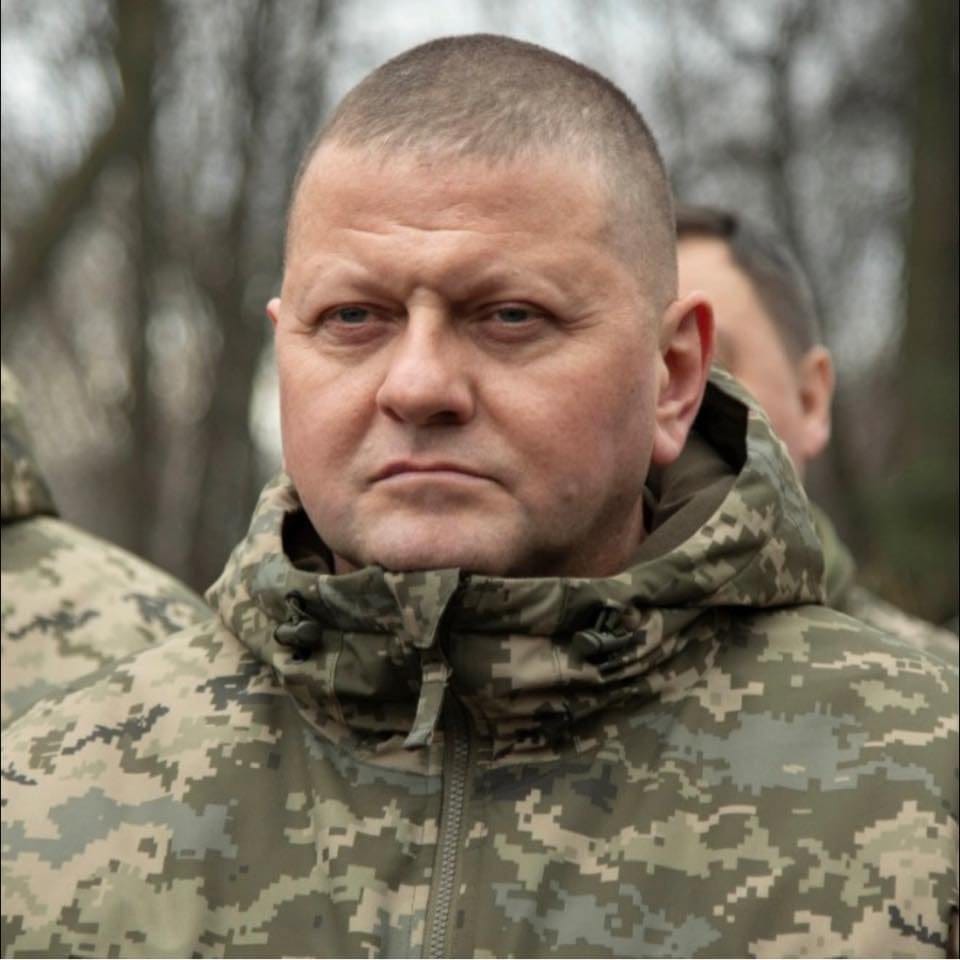 Головнокомандувач ЗС України генерал Валерій Залужний-Історія в школі
