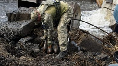 Інженерно-саперні підрозділи Держспецтрансслужби МО України