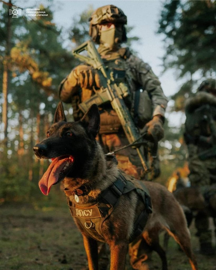 ЗСУ-Історія в школі