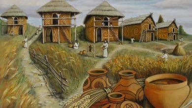 Реконструкція житла трипільців-Історія в школі