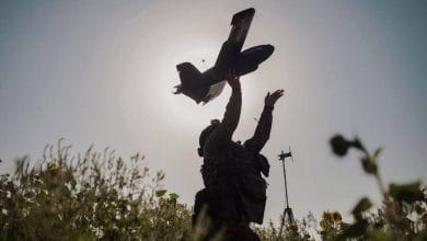 ЗСУ-Історія в школі