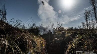 ЗСУ-Історія в школі