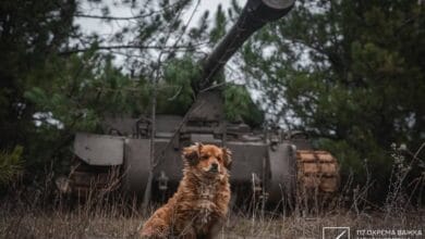 ЗСУ-Історія в школі