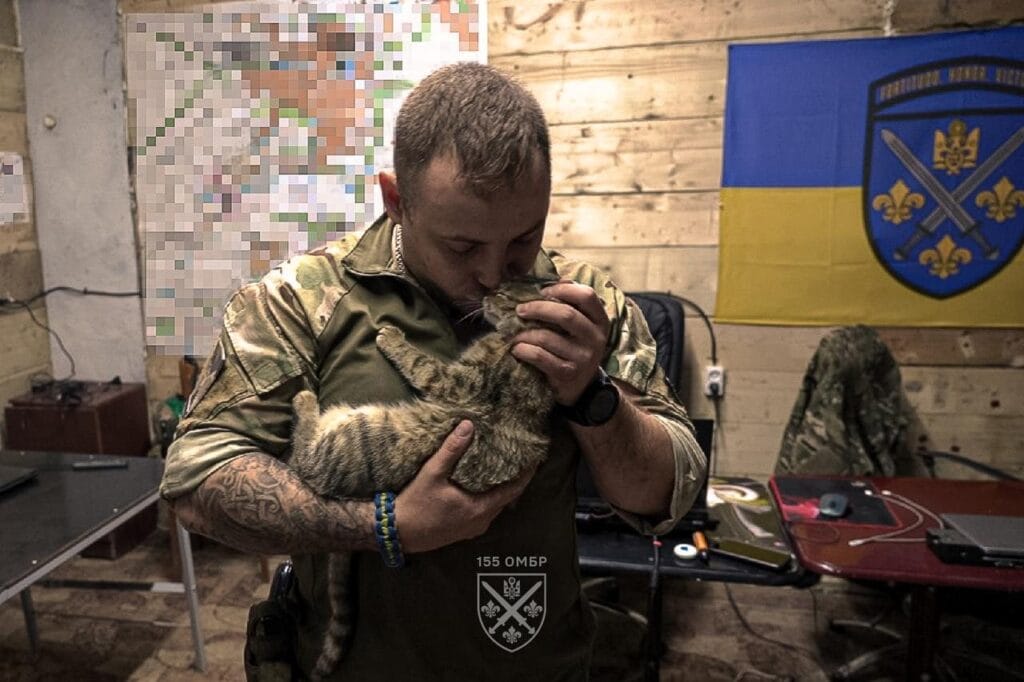ЗСУ-Історія в школі