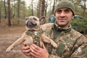 ЗСУ-Історія в школі
