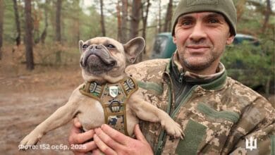 ЗСУ-Історія в школі