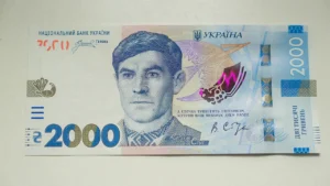 Стус-Історія в школі
