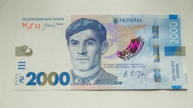 Стус-Історія в школі